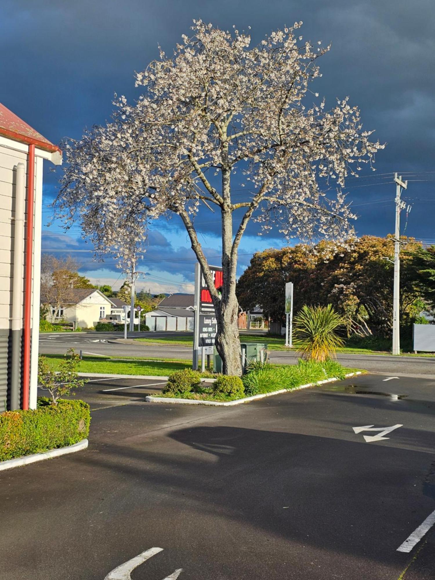 Gateway Motor Inn Masterton Exterior photo